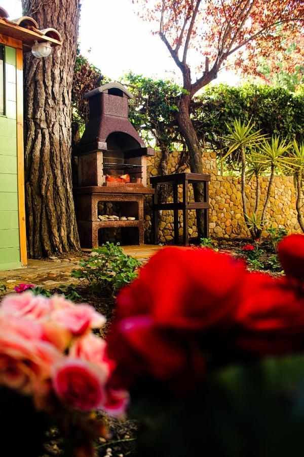 Bed and Breakfast La Casa Di Nonno Giulio Порто-Сант'Эльпидио Экстерьер фото